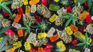 Cannabis edibles in barcelona