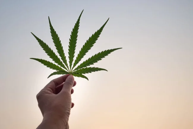 Club Cannabis El Raval